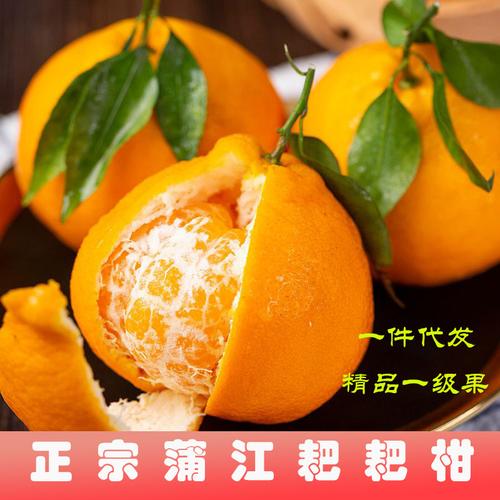 四川蒲江春见耙耙柑橙新鲜水果手剥桔橙柑橘当季水果5斤大果整箱