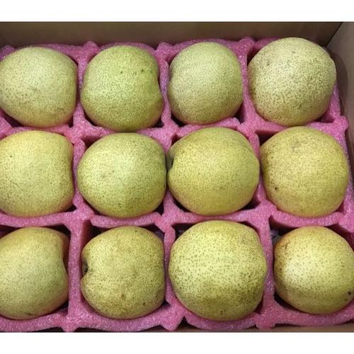 互助行动】砀山酥梨买5斤送3斤总重8斤砀山地标产品 爱心助卖新鲜水果