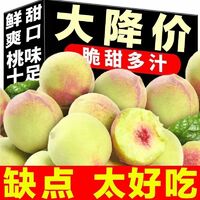 2025十款热门桃子产品榜 值得入手的桃子商品推荐
