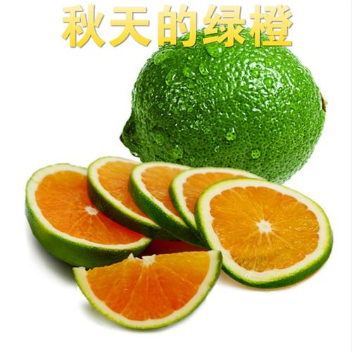 海南新鲜水果海南绿橙产地直销当天采摘绿橙新鲜发货5斤空运包邮