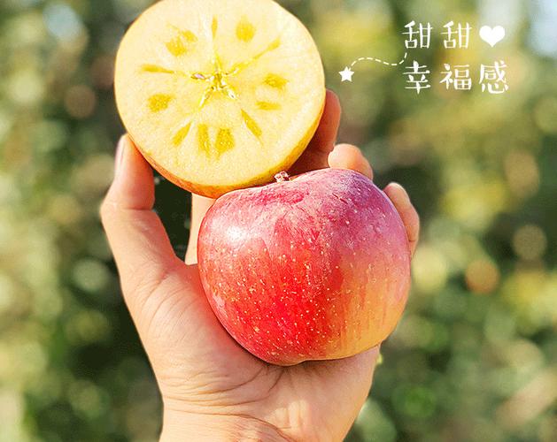 采蘩caifan阿克苏冰糖心苹果新鲜水果当季糖心红富士丑苹果5斤装